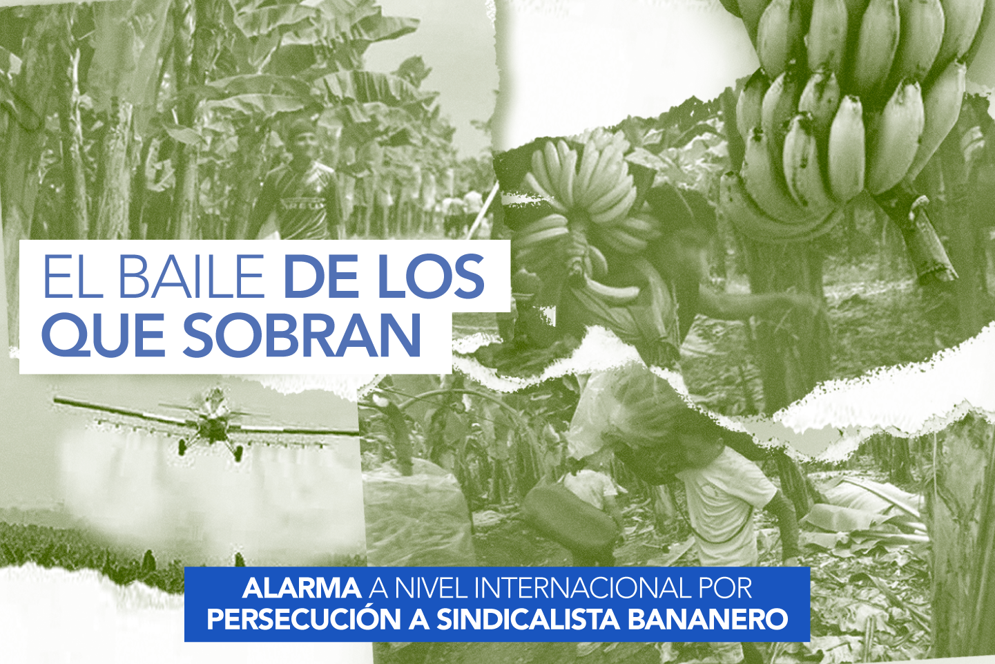 El BAILE DE LOS QUE SOBRAN - LA FUENTE: Periodismo de Investigación