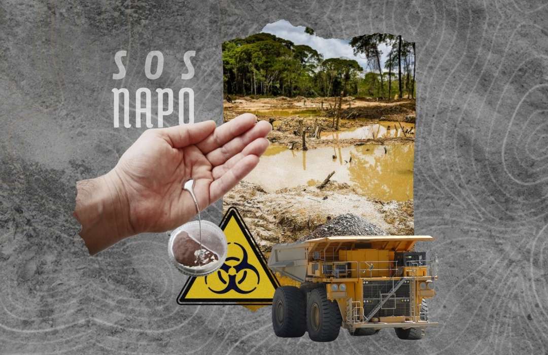 SOS-NAPO-2.jpg